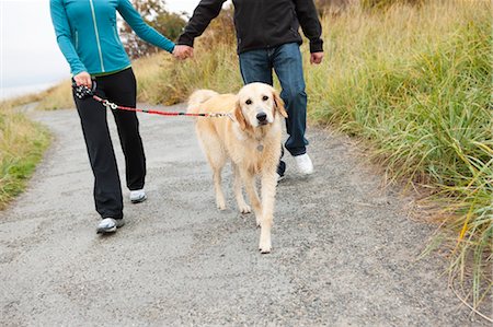 dog usa - Couple Walking Dog at Puget Sound in Discovery Park, Seattle, Washington, USA Stock Photo - Rights-Managed, Code: 700-03554500