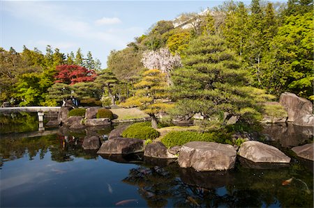 Japanese Garden, Japan Foto de stock - Con derechos protegidos, Código: 700-03556742