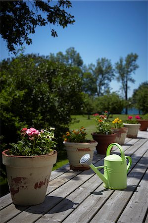 deck gardens - Watering Can and Planters on Deck, Prince Edward County, Ontario, Canada Stock Photo - Rights-Managed, Code: 700-03552422