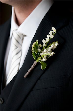 Close-up of Groom's Boutonniere Stock Photo - Rights-Managed, Code: 700-03567859