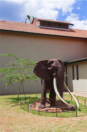 Nairobi National Museum, Nairobi, Kenya, Africa Foto de stock - Direito Controlado, Número: 700-03568075