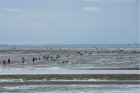 Menschen auf der Suche für Razor Muschelsammeln im Schlamm von Don Hoi Lot, Provinz Samut Songkhram, Thailand Stockbilder - Lizenzpflichtiges, Bildnummer: 700-03586788