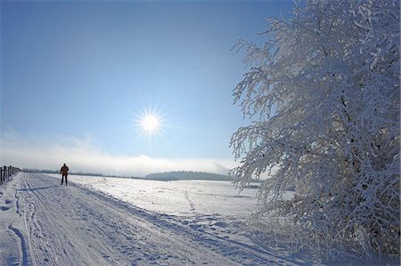 Woman Cross Country Skiing, Wasserkuppe, Rhon Mountains, Hesse, Germany Stock Photo - Rights-Managed, Code: 700-03586849