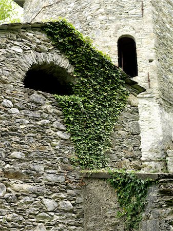 edera - Stone House, Province of La Spezia, Liguria, Italy Fotografie stock - Rights-Managed, Codice: 700-03615918