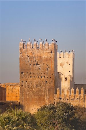 fez, morocco - Remparts de la ville, Fès, Maroc Photographie de stock - Rights-Managed, Code: 700-03612963