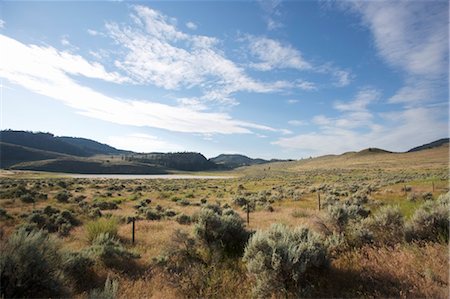 Landscape Near Oliver, British Columbia, Canada Stock Photo - Rights-Managed, Code: 700-03621367