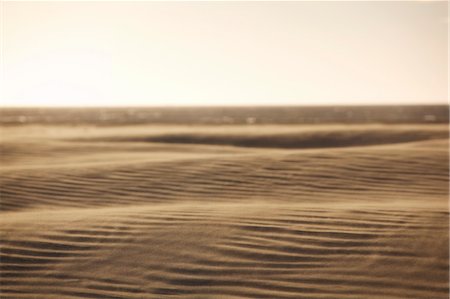 desert ripples scenes - Desert Sand Stock Photo - Rights-Managed, Code: 700-03621446