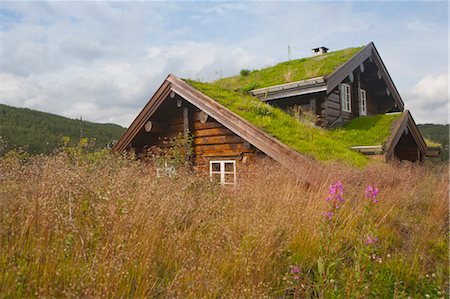 empreinte écologique - Maison avec toit, près de Tinn, vert Telemark, Norvège Photographie de stock - Rights-Managed, Code: 700-03622793