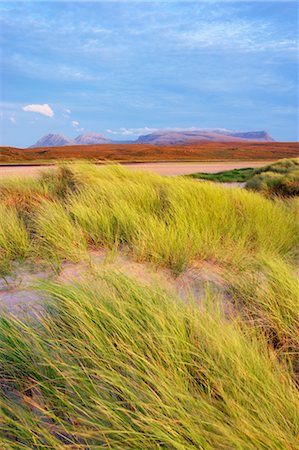 Dunes, Achnahaird Bay, Ross et Cromarty, région de Highland Council, Scottish Highlands, Ecosse Photographie de stock - Rights-Managed, Code: 700-03622951