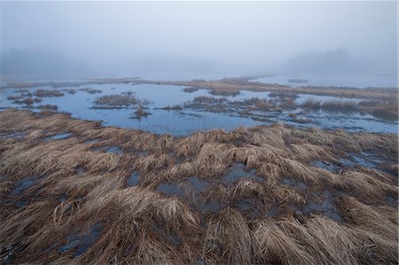 pozza di marea - Hampton, Rockingham County, New Hampshire, USA Fotografie stock - Rights-Managed, Codice: 700-03623026