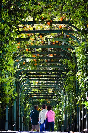 enclosed walkway - Gens se promenant dans l'allée grillagée, Villa Carlotta, Tremezzo, lac de Côme, Lombardie, Italie Photographie de stock - Rights-Managed, Code: 700-03644350