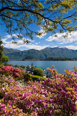 famous garden - Villa Carlotta on Lake Como, Tremezzo, Lombardy, Italy Stock Photo - Rights-Managed, Code: 700-03644351