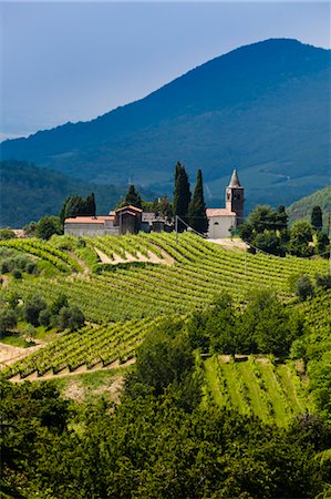 Weinberg und Kirche, Faedo und Euganeischen Hügel, Veneto, Italien Stockbilder - Lizenzpflichtiges, Bildnummer: 700-03644477