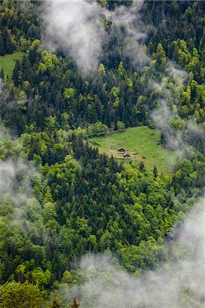 encima de las nubes - Aerial View of Forest and House, Jungfrau Region, Bernese Oberland, Switzerland Foto de stock - Con derechos protegidos, Código: 700-03644486