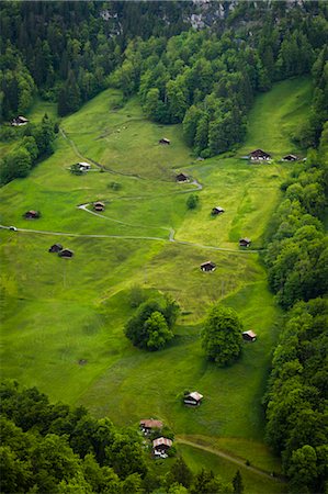 Wengen, Jungfrauregion, Berner Oberland, Schweiz Stockbilder - Lizenzpflichtiges, Bildnummer: 700-03644488