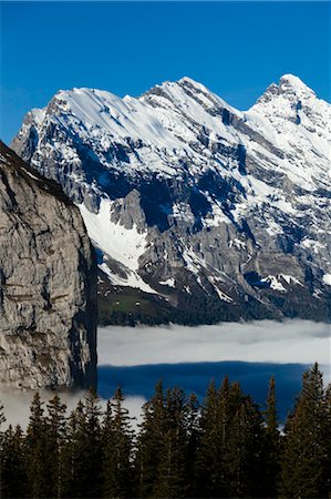 snow covered cliff - Jungfrau Region, Bernese Oberland, Switzerland Stock Photo - Rights-Managed, Code: 700-03644491