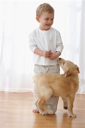 encantador - Little Boy With Goldendoodle Puppy Foto de stock - Con derechos protegidos, Código: 700-03644589
