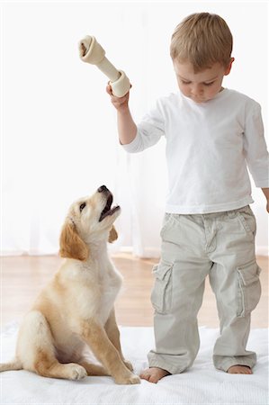 entrañable - Little Boy With Goldendoodle Puppy Foto de stock - Con derechos protegidos, Código: 700-03644593