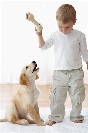 Little Boy With Goldendoodle Puppy Foto de stock - Direito Controlado, Número: 700-03644593