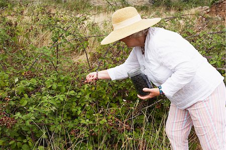 european cottage gardens - Woman Gardening, Domaine de l'Ardagnole, Fajac-en-Val, Aude, Languedoc Roussillon, France Stock Photo - Rights-Managed, Code: 700-03644737