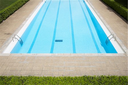 seto vivo - Swimming Pool Foto de stock - Con derechos protegidos, Código: 700-03644919