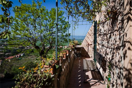 pergola - Spello, Umbria, Italy Stock Photo - Rights-Managed, Code: 700-03641140