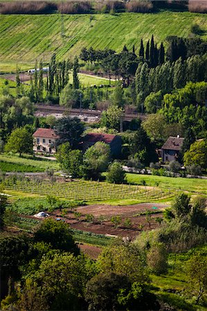 edificio agricolo - Farm near Orvieto, Umbria, Italy Fotografie stock - Rights-Managed, Codice: 700-03641198