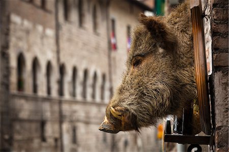 swine - Gubbio, Umbria, Italy Stock Photo - Rights-Managed, Code: 700-03641233