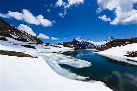 Lake Bachalpsee, Jungfrau Region, Bernese Alps, Switzerland Foto de stock - Con derechos protegidos, Código: 700-03654554