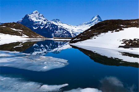 Lake Bachalpsee, Jungfrau Region, Bernese Alps, Switzerland Foto de stock - Con derechos protegidos, Código: 700-03654555