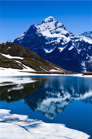 Mountain Reflecting in Lake, Bachalpsee, Jungfrau Region, Bernese Alps, Switzerland Foto de stock - Con derechos protegidos, Código: 700-03654556