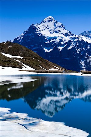 Montagne reflétant dans un lac, lac de Bachalp, région de la Jungfrau, Alpes bernoises, Suisse Photographie de stock - Rights-Managed, Code: 700-03654556