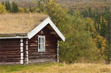 forest old trees - Cabin in Forest Stock Photo - Rights-Managed, Code: 700-03659259