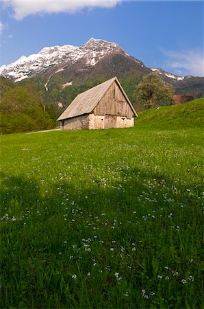 Barn, Slovenia Stock Photo - Rights-Managed, Code: 700-03665563