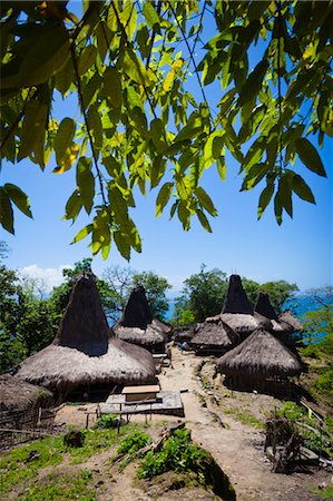 rooftop hut - Village, Sumba, Lesser Sunda Islands, Indonesia Stock Photo - Rights-Managed, Code: 700-03665808