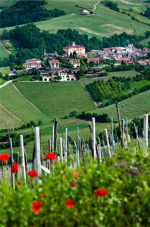 province of cuneo - Barolo, Cuneo Province, Piedmont, Italy Foto de stock - Con derechos protegidos, Código: 700-03660117