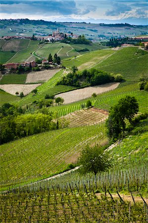 piemonte hilltop town - Sommariva Perno, Province of Cuneo, Piedmont, Italy Stock Photo - Rights-Managed, Code: 700-03660111