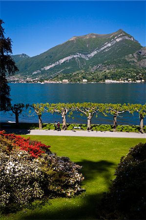 formal garden path - Gardens of Villa Melzi, Bellagio, Lake Como, Province of Como, Lombardy, Italy Stock Photo - Rights-Managed, Code: 700-03660191