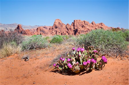 felsformation - Valley of Fire State Park, Nevada, USA Stockbilder - Lizenzpflichtiges, Bildnummer: 700-03685762