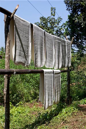 recurso natural - Rubber Drying Outdoors, Myanmar Foto de stock - Con derechos protegidos, Código: 700-03685796