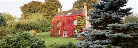 panoramique - Cottaged couvert de vignes, Cotswolds, Gloucestershire, Angleterre Photographie de stock - Rights-Managed, Code: 700-03685811