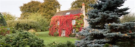 Cottaged Covered in Vines,Cotswolds, Gloucestershire, England Stock Photo - Rights-Managed, Code: 700-03685811