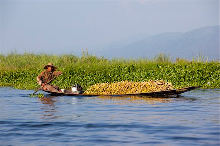 simsearch:700-03685829,k - Man on Boat, Inle Lake, Myanmar Stock Photo - Rights-Managed, Code: 700-03685826