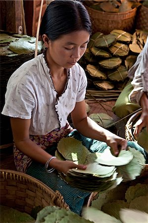 Cigar Production, Near Inle Lake, Myanmar Stock Photo - Rights-Managed, Code: 700-03685830