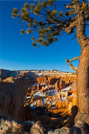 parque nacional badlands - Dawn at Bryce Canyon National Park, Utah, USA Foto de stock - Con derechos protegidos, Código: 700-03686032