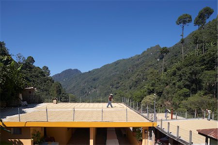 Spreading Coffee Beans to Dry on Plantation Patio, Finca Villaure, Huehuetenango, Guatemala Stock Photo - Rights-Managed, Code: 700-03686236