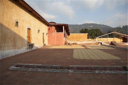 sacatepequez department - Coffee Beans Drying on Patio, Finca Filadelfia, San Felipe, Antigua Guatemala, Guatemala Stock Photo - Rights-Managed, Code: 700-03686248