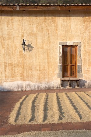 sillon - Grains de café de séchage sur le Patio, Finca Filadelfia, Antigua Guatemala, Guatemala Photographie de stock - Rights-Managed, Code: 700-03686250