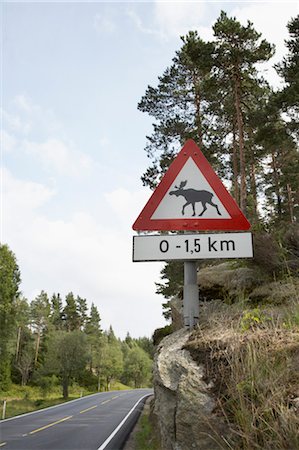 Moose Crossing, Vanse, Farsund, Norway Stock Photo - Rights-Managed, Code: 700-03682096