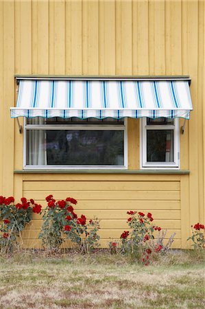 shrub - Maison extérieur, Herefoss, Aust-Agder, Norvège Photographie de stock - Rights-Managed, Code: 700-03682106
